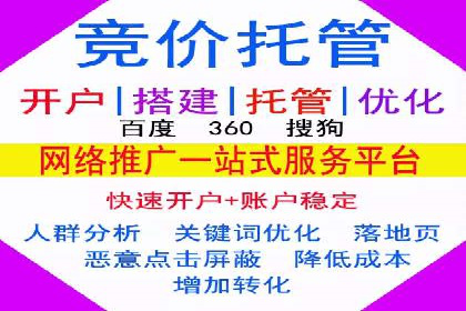 网络推广与竞价广告：双管齐下的策略案例